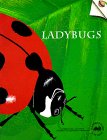 Ladybugs (Old Edition) (Great Explorations in Math and Science),Used
