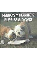 Perros Y Perritos/Puppies & Dogs (Spanish Edition),Used
