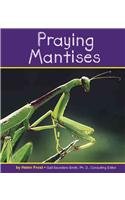 Praying Mantises (Pebble Books),Used