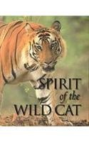 Spirit of the Wildcat,New