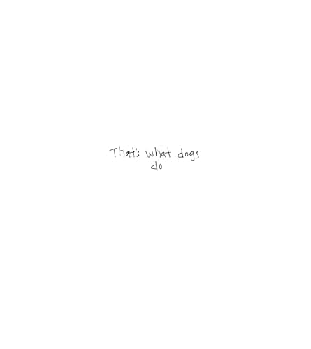 Dogs Don't Die Dogs Stay,Used