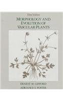 Morphology And Evolution Of Vascular Plants,New