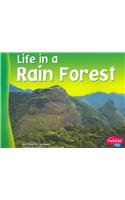 Life in a Rain Forest (Pebble Plus: Living In A Biome),Used