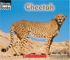 Cheetah (Welcome Books Animals of the World),Used