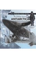 An Online Visit to Antarctica (Internet Field Trips),Used