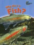 Why Am I a Fish? (Perspectives),Used