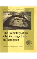 The Prehistory of the Chickamauga Basin in Tennessee, Vol. 2,Used