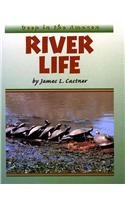 River Life (Deep in the Amazon),Used