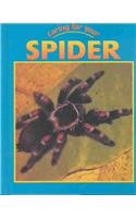 Spider (Caring for Your Pet),Used