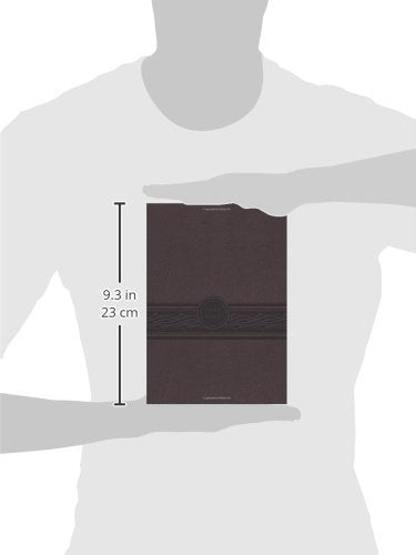 MEV Bible Personal Size Large Print Cherry Brown Indexed: Modern English Version,Used