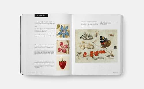 Beginning Drawing Atelier: An Instructional Sketchbook,Used