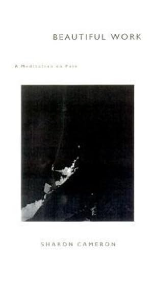 Beautiful Work: A Meditation on Pain,Used
