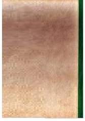 When Freedom is Lost: The Dark Side of the Relationship Between Government and the Fort Hope Band,Used