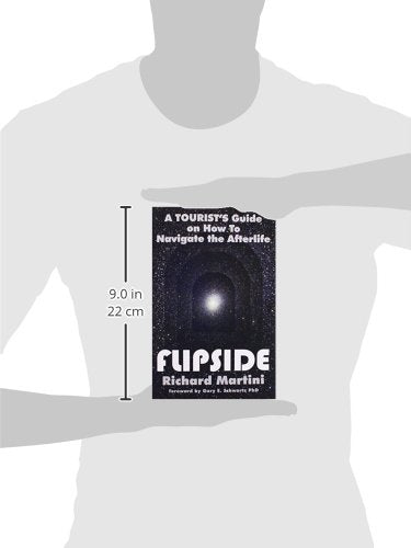 Flipside: A Tourist's Guide on How to Navigate the Afterlife,Used