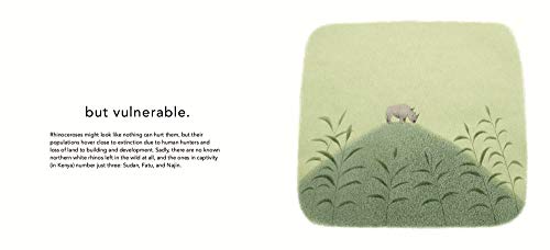 Lovely Beasts: The Surprising Truth,Used