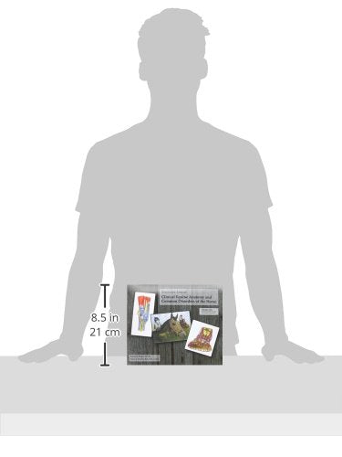 Illustrated Atlas of Clinical Equine Anatomy and Common Disorders of the Horse,Used