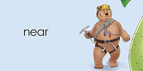 Bear (BigThymeRhyme),Used