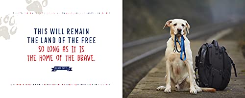 One Nation Under Dog: Patriotic Pooches from Across America,Used