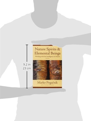 Nature Spirits & Elemental Beings: Working with the Intelligence in Nature,Used