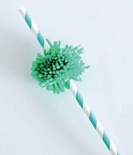 Make in a Day: Pompom Crafts,Used