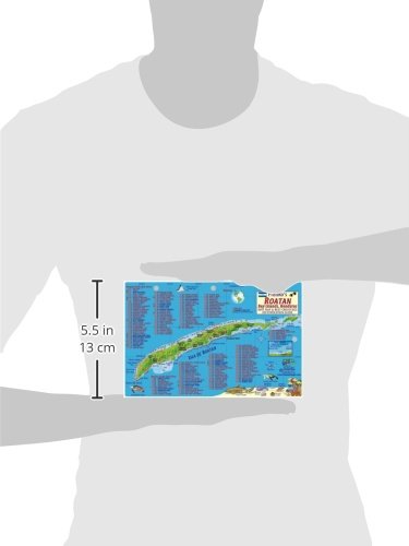 Roatan Honduras Dive Map & Reef Creatures Guide Franko Maps Laminated Fish Card,New