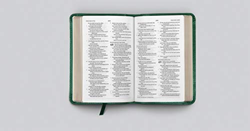 ESV Compact Bible (TruTone, Turquoise, Emblem Design),Used