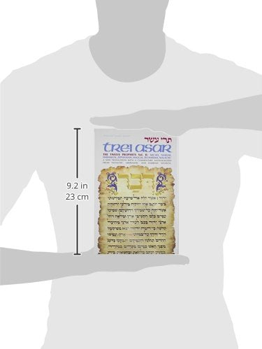 Trei Asar: The Twelve Prophets Vol. II: / A New Translation With A Commentary Anthologized From Talmudic, Midrashic, And Rabbini,Used