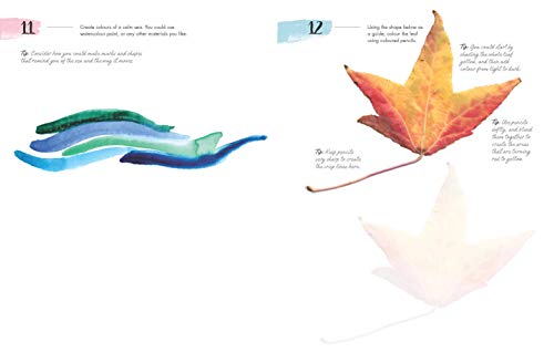 365 Days of Art in Nature: Find Inspiration Every Day in the Natural World,New