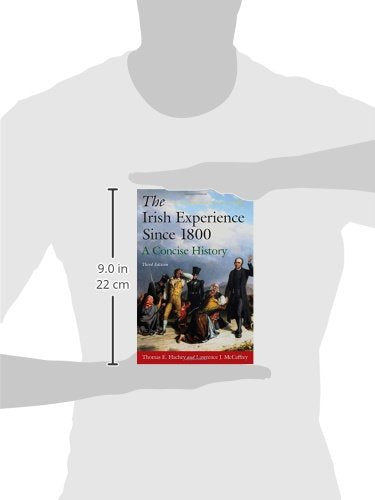 The Irish Experience Since 1800: A Concise History: A Concise History,Used