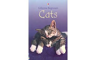 Cats (Beginners),Used