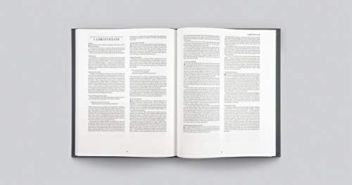 ESV Panorama New Testament (Cloth over Board, Gray),Used