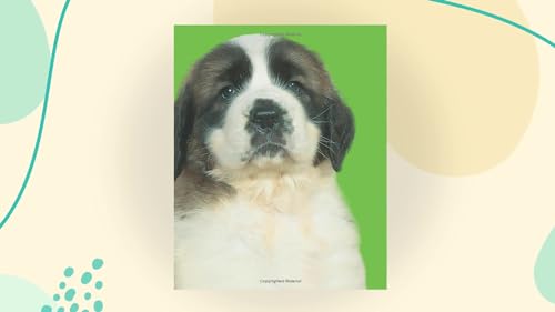 Bright Baby Touch & Feel Perfect Pets (Bright Baby Touch and Feel),New