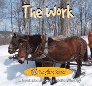 The Work Book (Everything Science),Used