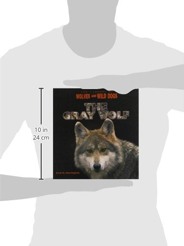 The Gray Wolf (The Library of Wolves and Wild Dogs),Used