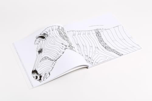 Animorphia: An Extreme Coloring And Search Challenge,New