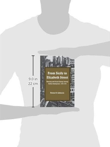 From Sicily to Elizabeth Street: Housing and Social Change Among Italian Immigrants, 18801930 (Suny Series in American Social H,Used