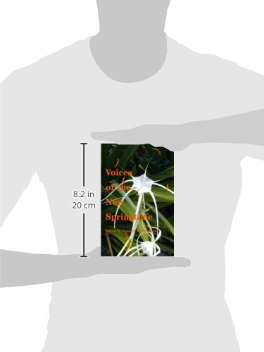 Voices of the New Springtime: The Life and Work of the Catholic Church in the 21st Century,Used