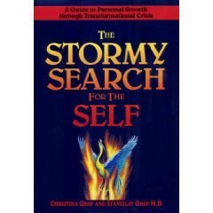 The Stormy Search For The Self,Used