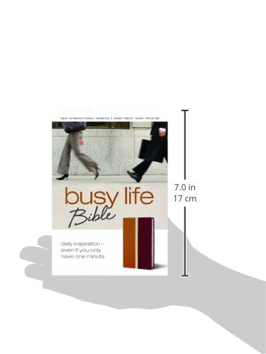 Busy Life Bible: Daily InspirationEven If You Only Have One Minute,Used
