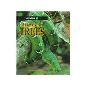 Animals In Trees (Looking At),New