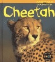 Cheetah (Animals in Danger),Used