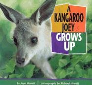 A Kangaroo Joey Grows Up (Baby Animals),Used