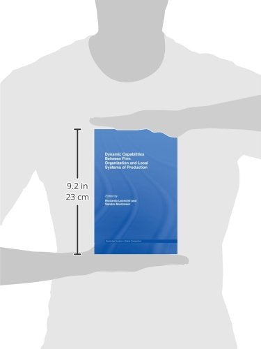 Dynamic Capabilities Between Firm Organisation and Local Systems of Production (Routledge Studies in Global Competition),Used