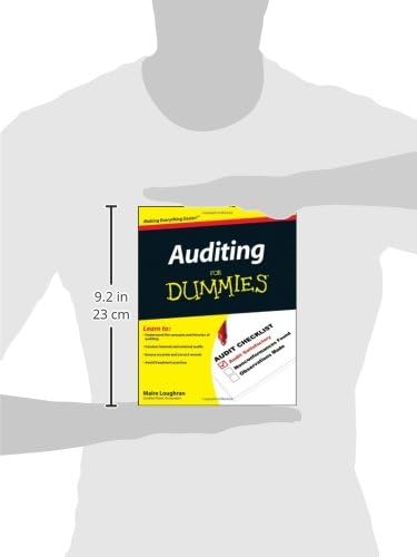 Auditing For Dummies,New