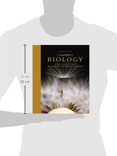 Campbell Biology (10th Edition),Used