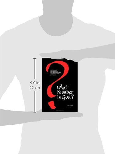 What Number Is God?: Metaphors, Metaphysics, Metamathematics, and the Nature of Things (Suny Series in Western Esoteric Traditio,Used