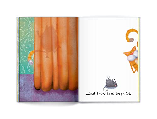 The Truth About Cat People by Jo Renfro, A Cute and Funny Gift Book for Someone Who Really Loves Cats from Blue Mountain Arts,Used