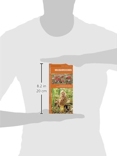 Mushrooms: A Folding Pocket Guide to Familiar North American Species (Nature Observation North America),Used