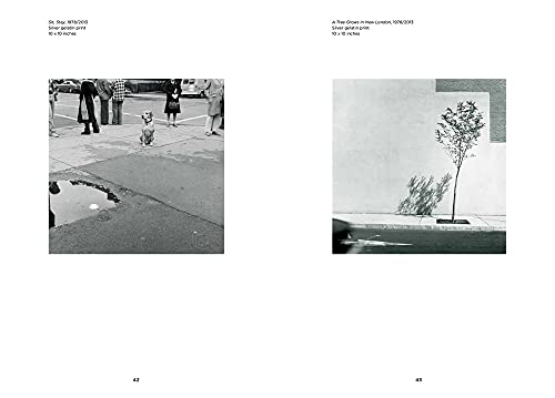 Barkley L. Hendricks: Photography,Used