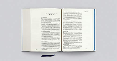 ESV Single Column Journaling Bible, Artist Series (Jake Weidmann, Dwelling Place),Used